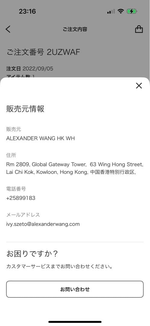 alexander wang ビキニ　ボトム　水着