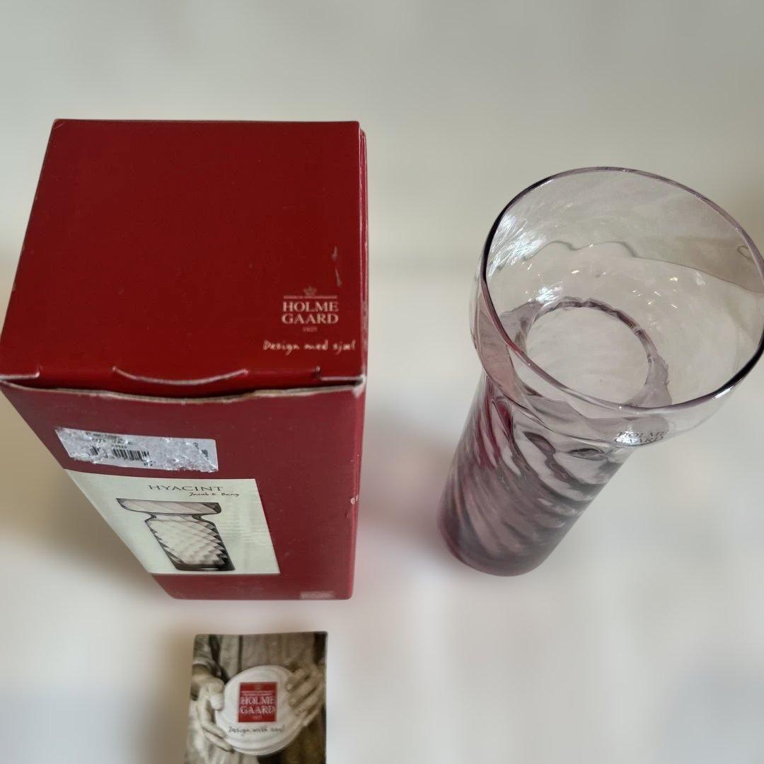 HOLME GAARD ホルムガード 日本未発売水耕球根栽培用 ガラスヒヤシンス