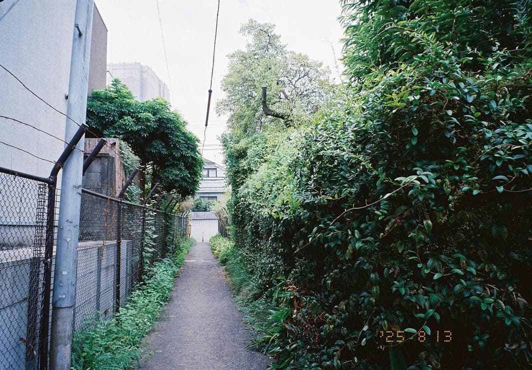 FUJIFILM 富士フィルム／NATURA BLACK F1.9 ナチュラ