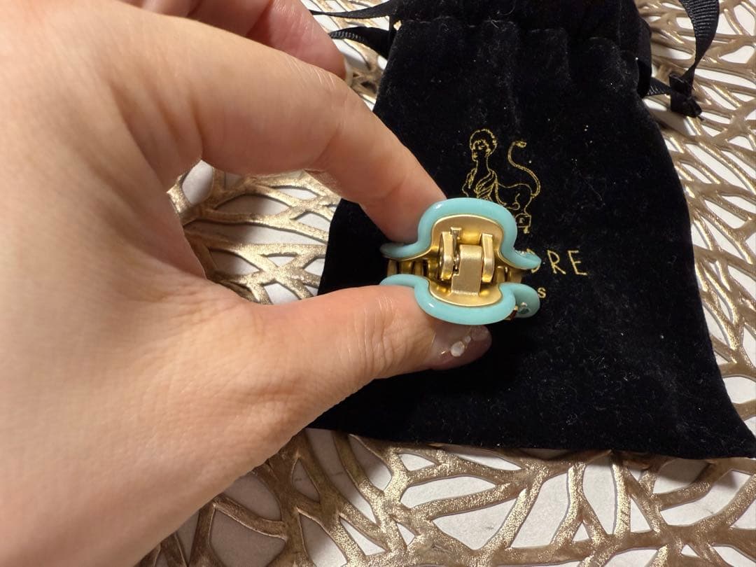 アレクサンドルドゥパリ★ヘアクリップセット