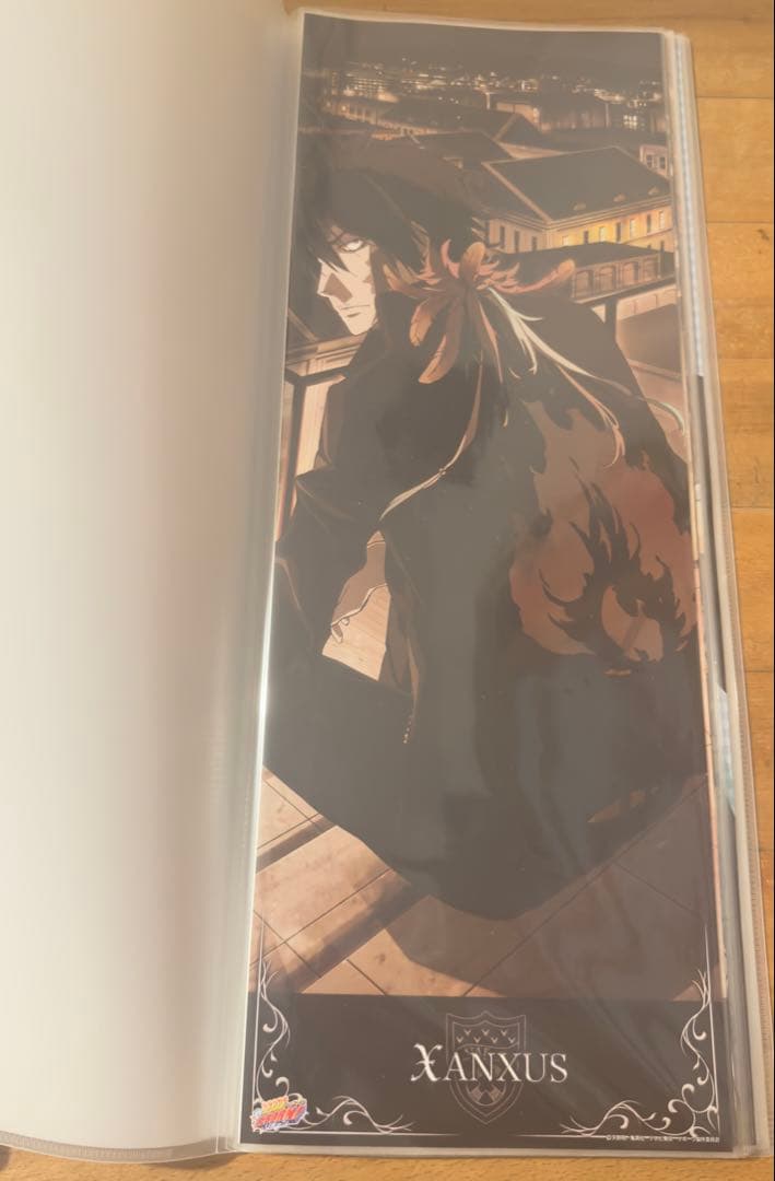 リボーン キャラポス 収納ファイル ポスター 32枚 美品