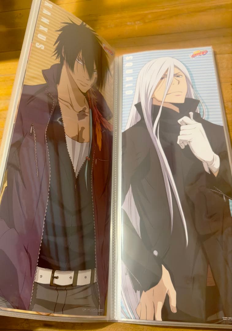 リボーン キャラポス 収納ファイル ポスター 32枚 美品