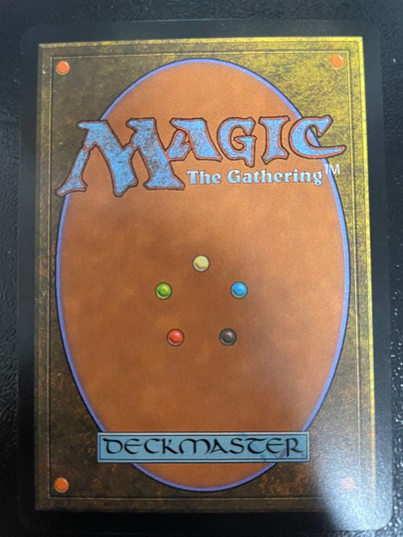 量子の謎かけ屋 英語 1枚 傷あり