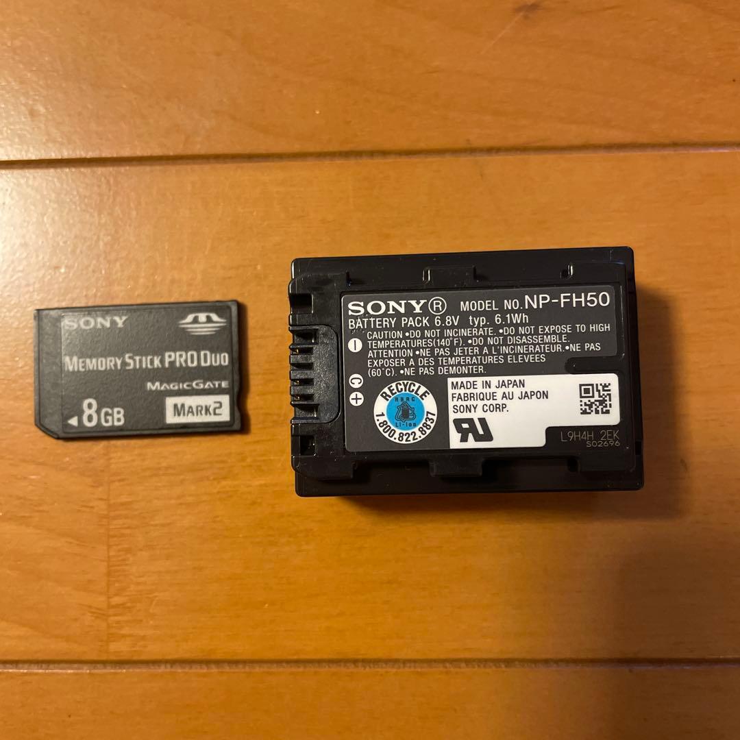 SONY デジタルビデオカメラ ハンディカム HDR-TG1