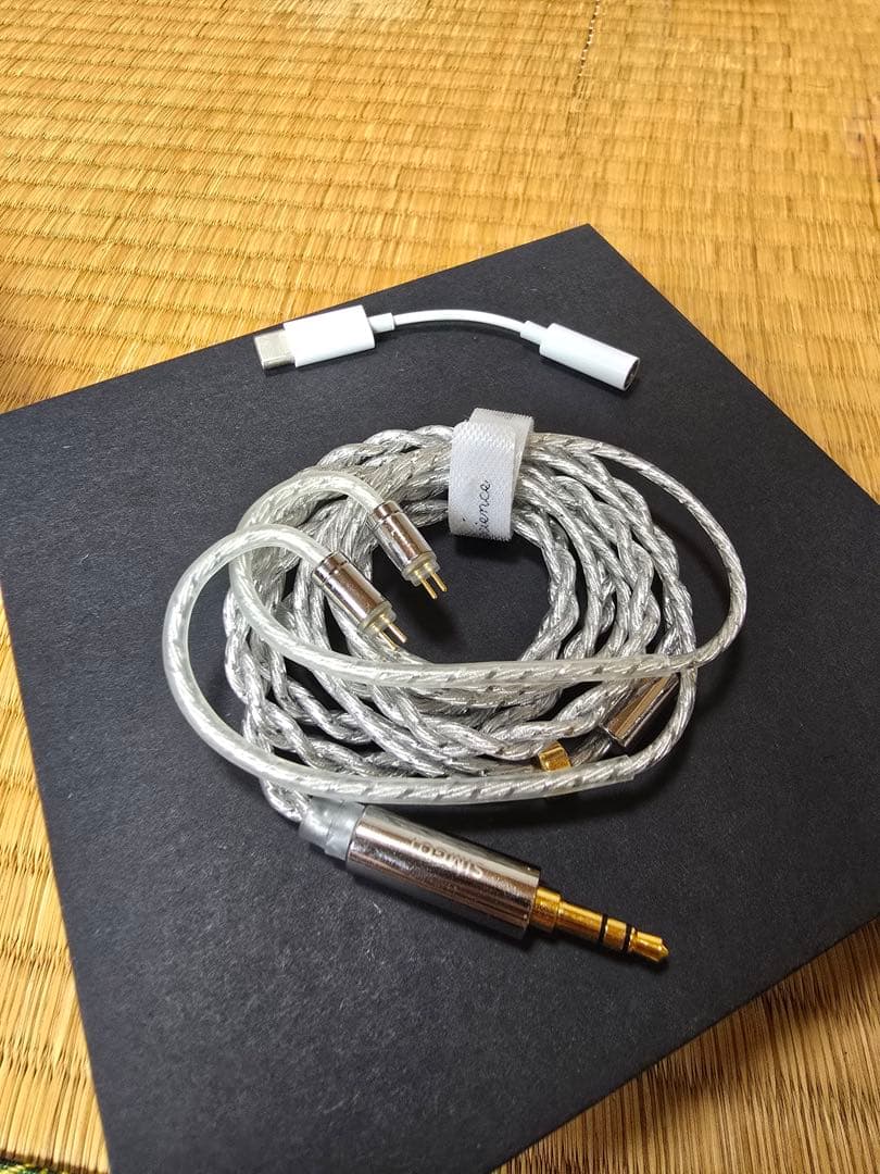 イヤホン SIMGOT EA1000