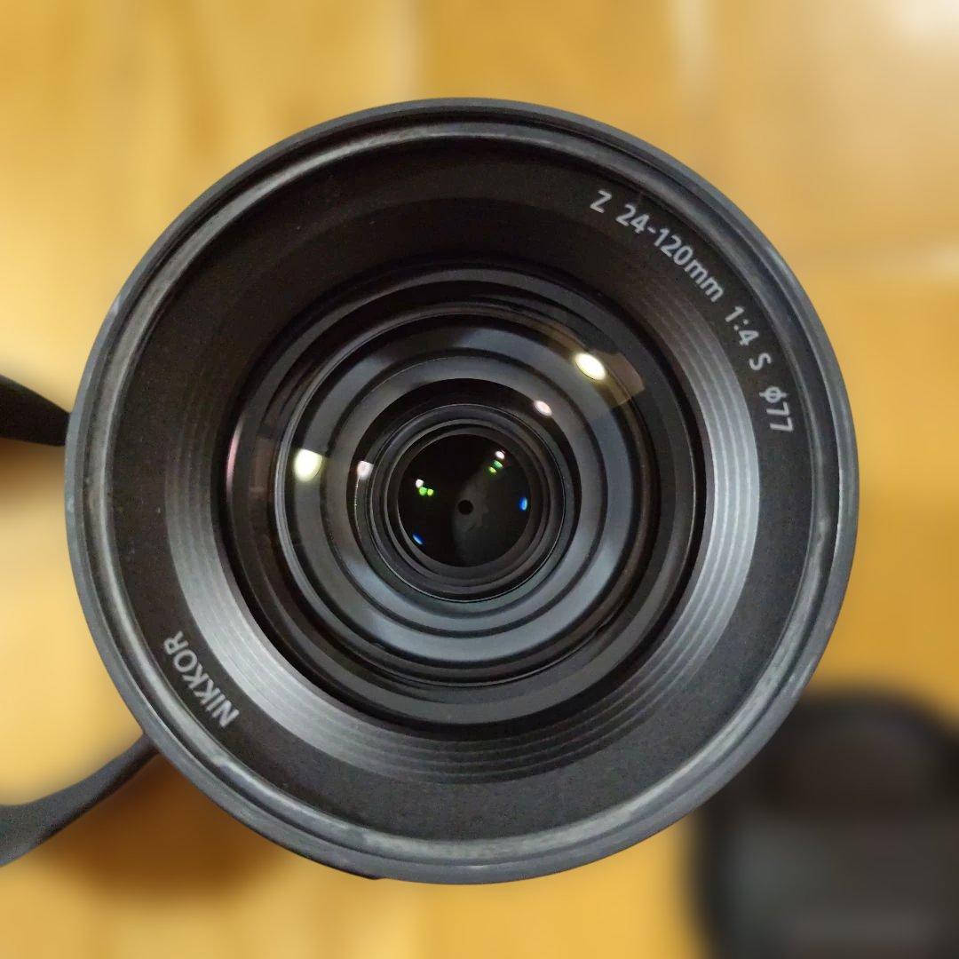 ma (NIKKOR 24-120mm f/4 ズームレンズ)