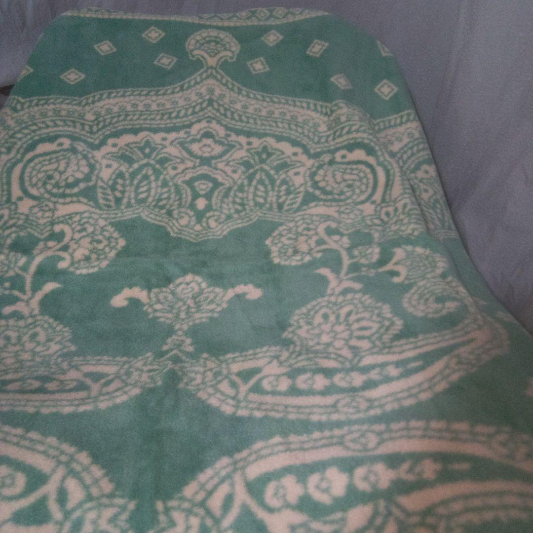 ETRO エトロ 綿毛布 タグ付未使用品 西川産業