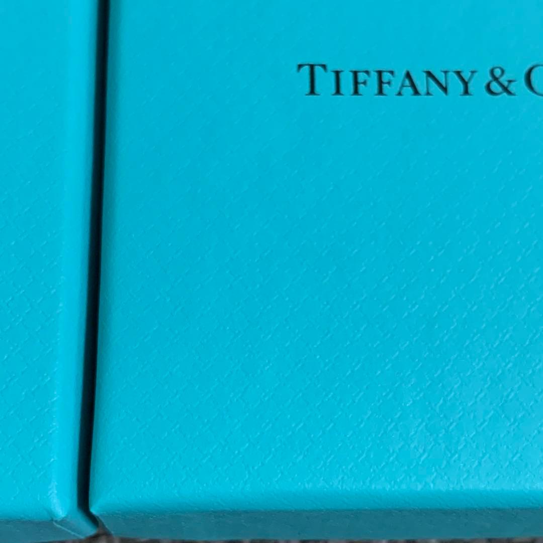現行品　新品未使用ティファニー空箱巾着袋10セット