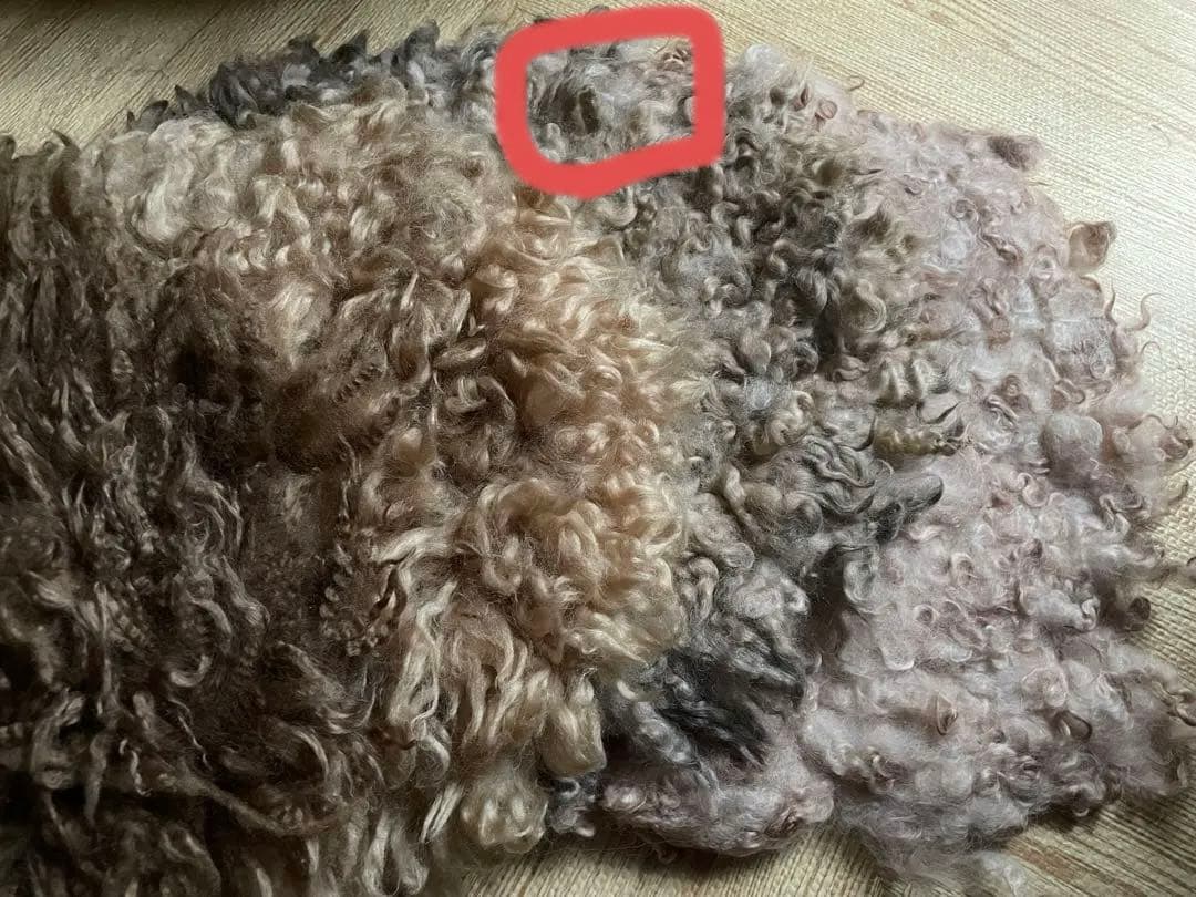 ニューボーンフォト用　カゴ、ファー、クマの帽子