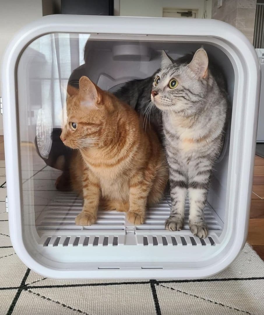 ペットドライルームドライヤーTotoro ball