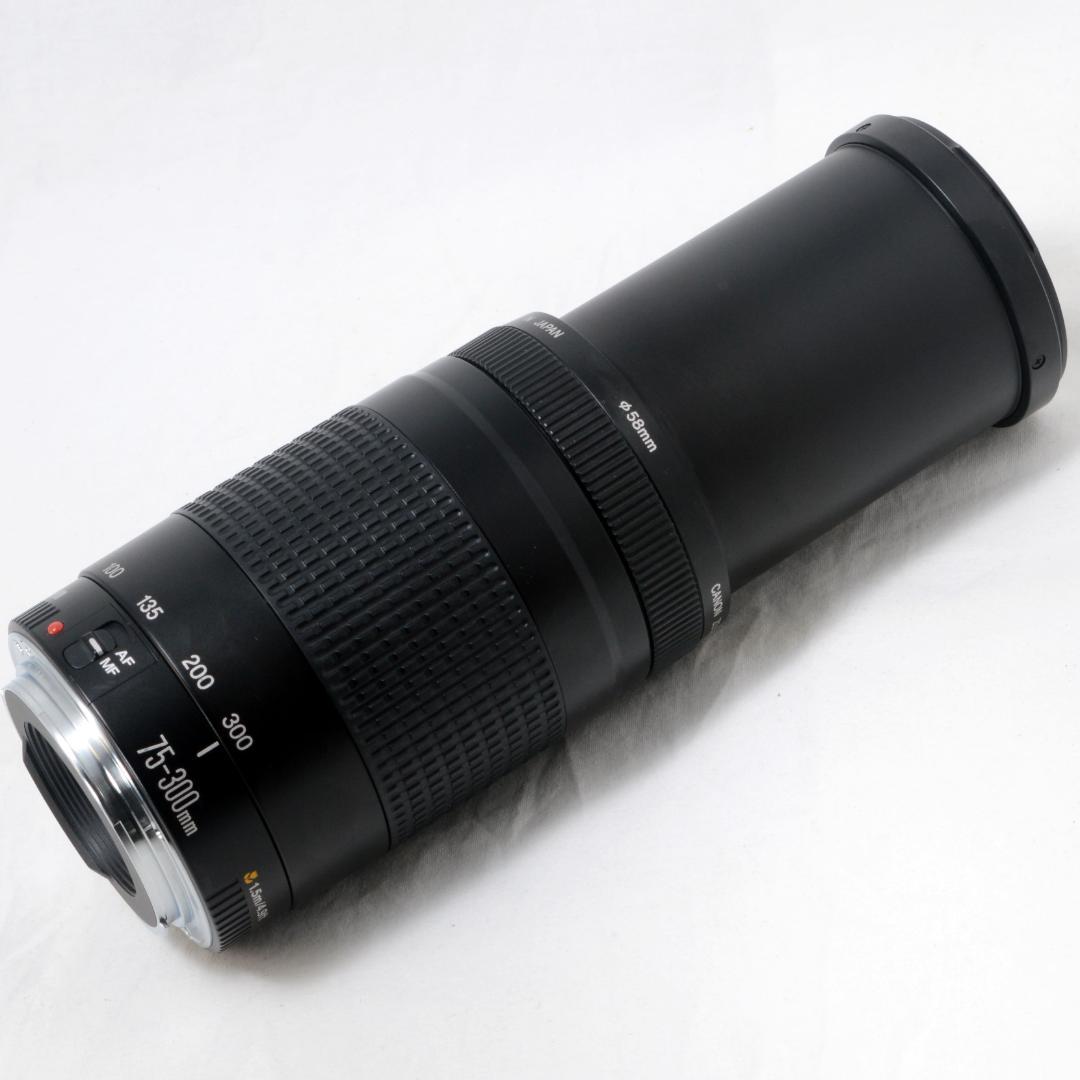 ★良品★Canon キャノン EF 75-300mm F4-5.6 Ⅱ