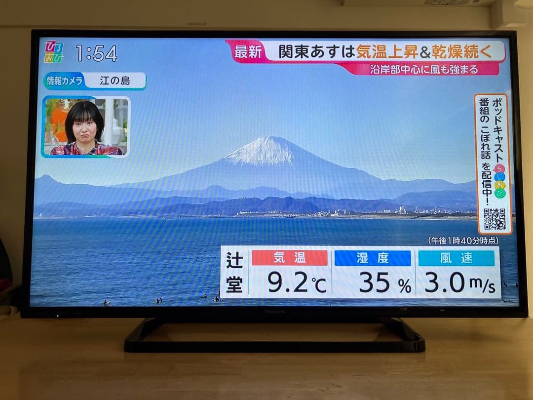 Panasonic TH-43D300 43インチ液晶テレビ