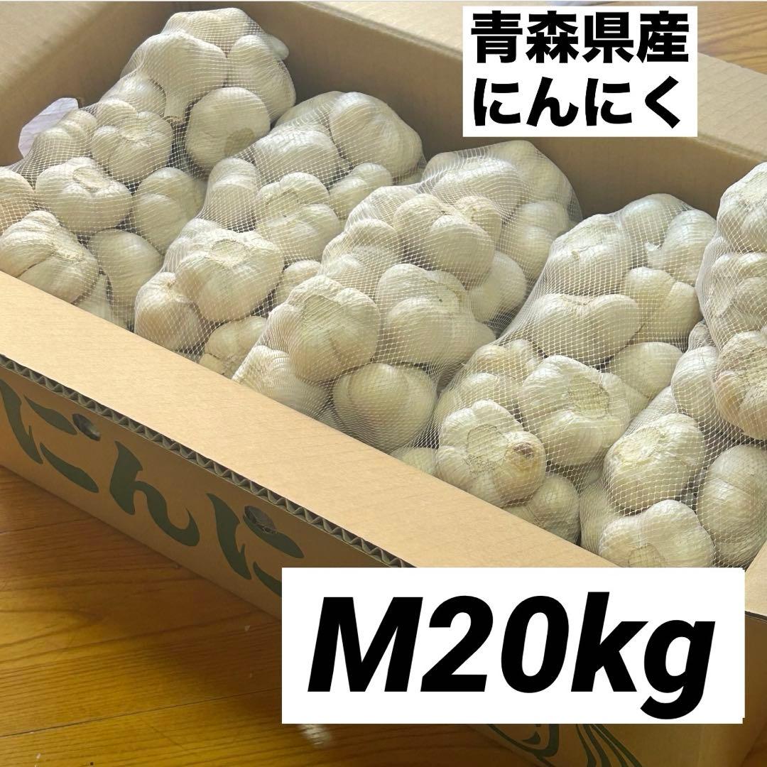 【大特価】青森県産 にんにく M 20kg 福地ホワイト 免疫力アップ 激安