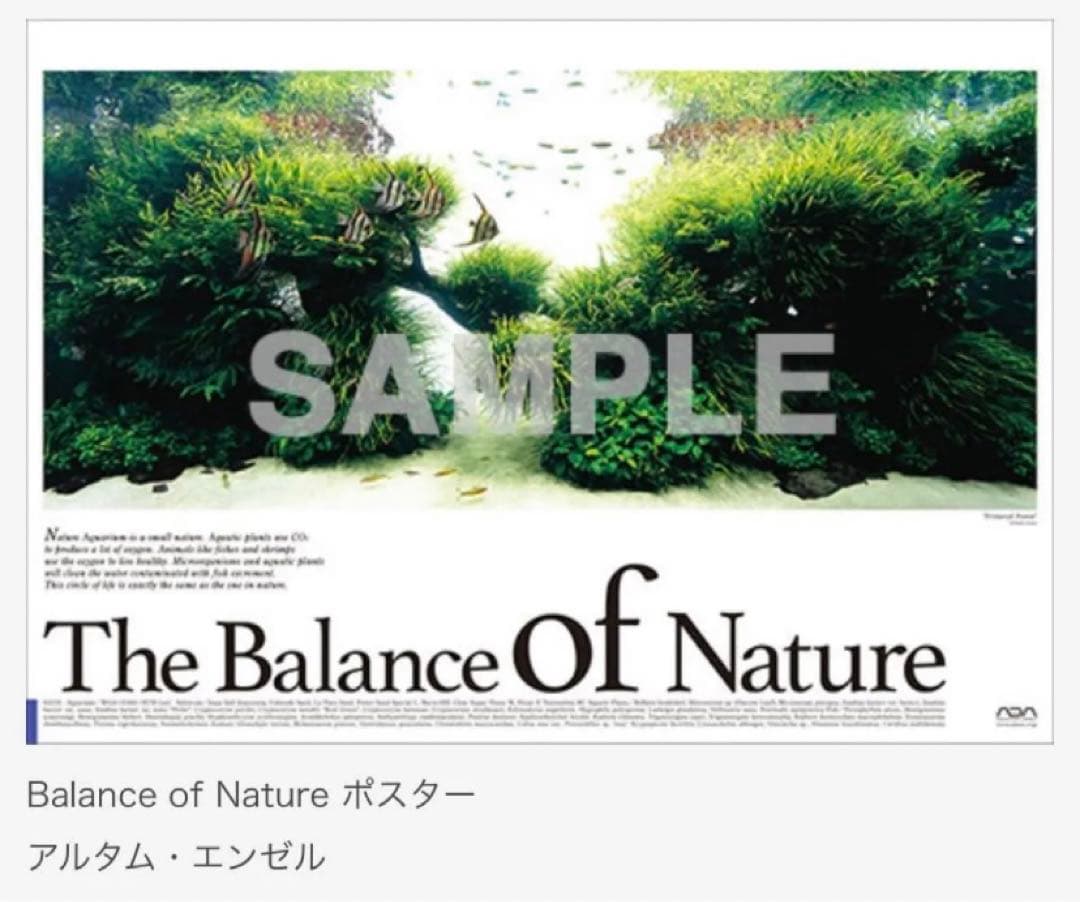 【ADA 】Balance of Nature ポスター 天野尚 アクアリウム