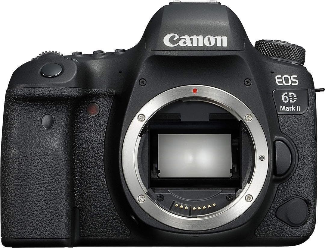 【美品】CANON EOS 6D Mark II
