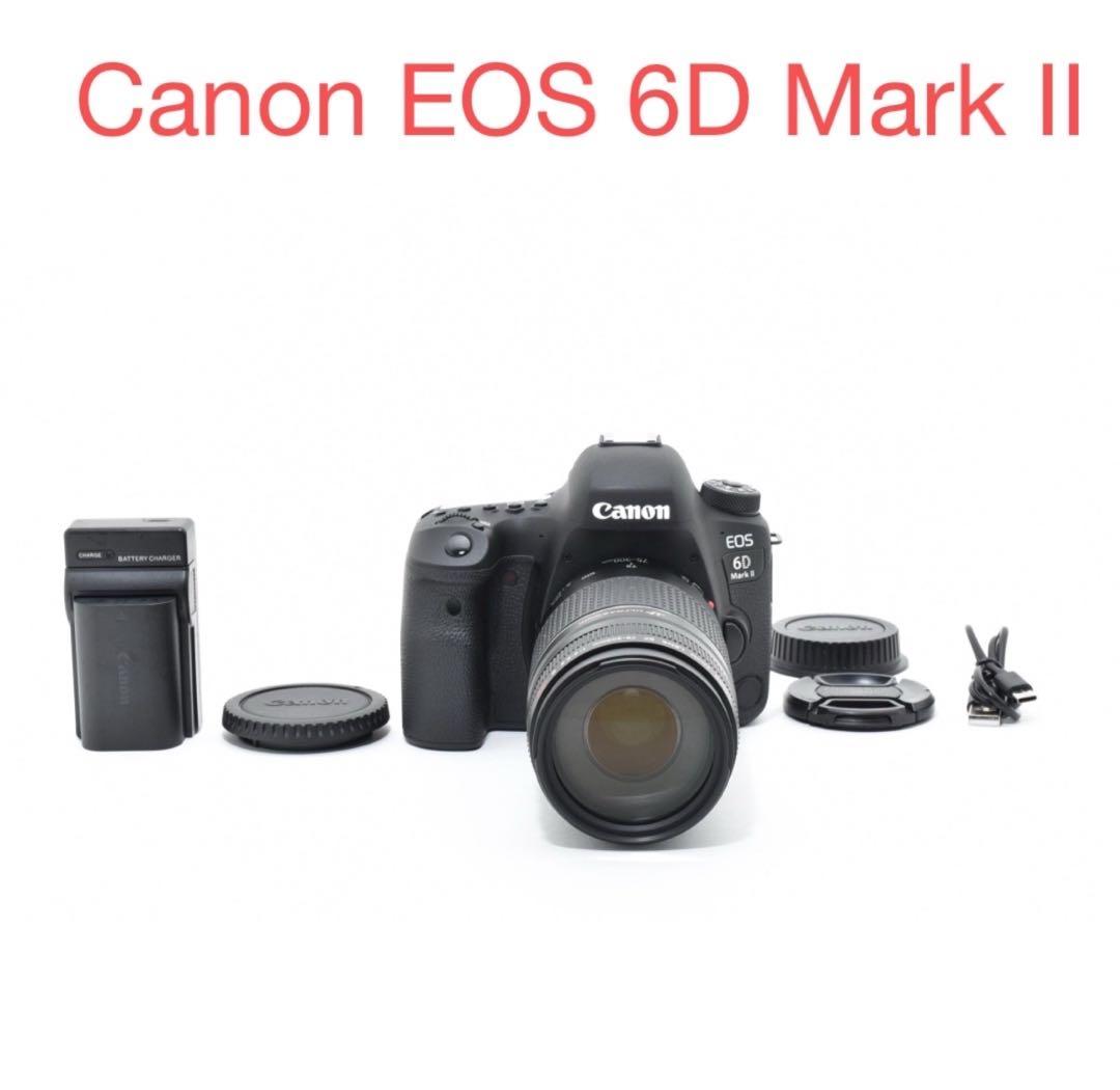 Canon EOS 6D Mark II / Canon EF 75-300㎜