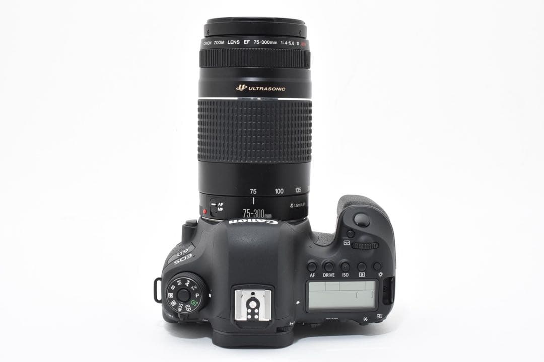 Canon EOS 6D Mark II / Canon EF 75-300㎜