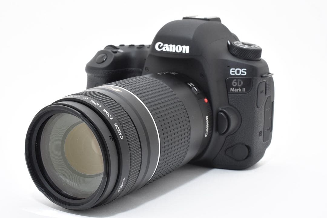 Canon EOS 6D Mark II / Canon EF 75-300㎜