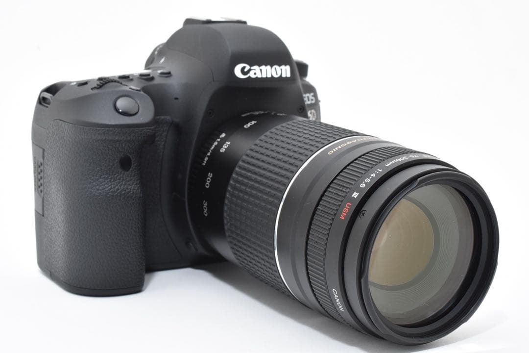 Canon EOS 6D Mark II / Canon EF 75-300㎜