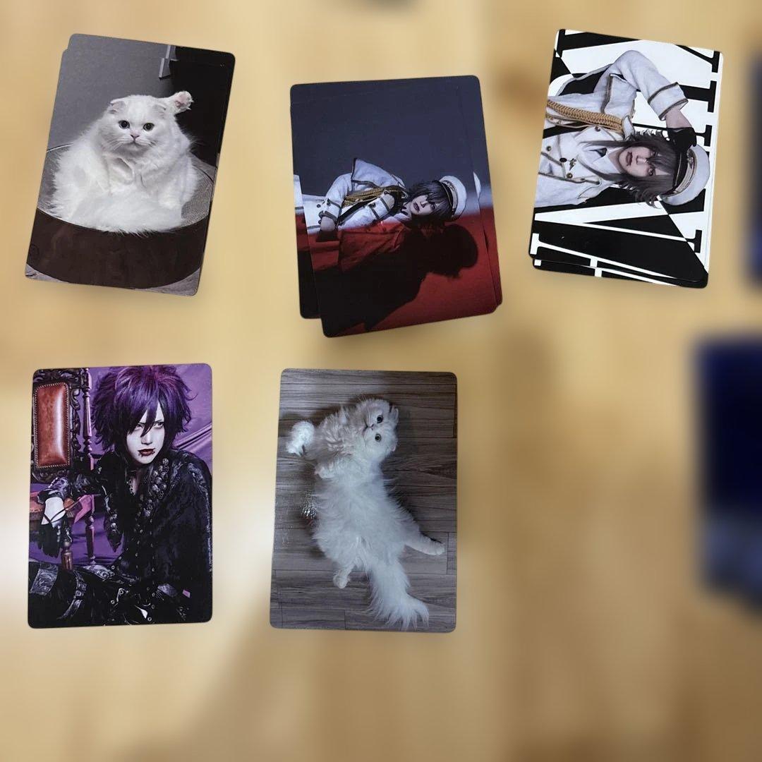 Royz 杙凪さん トレカ