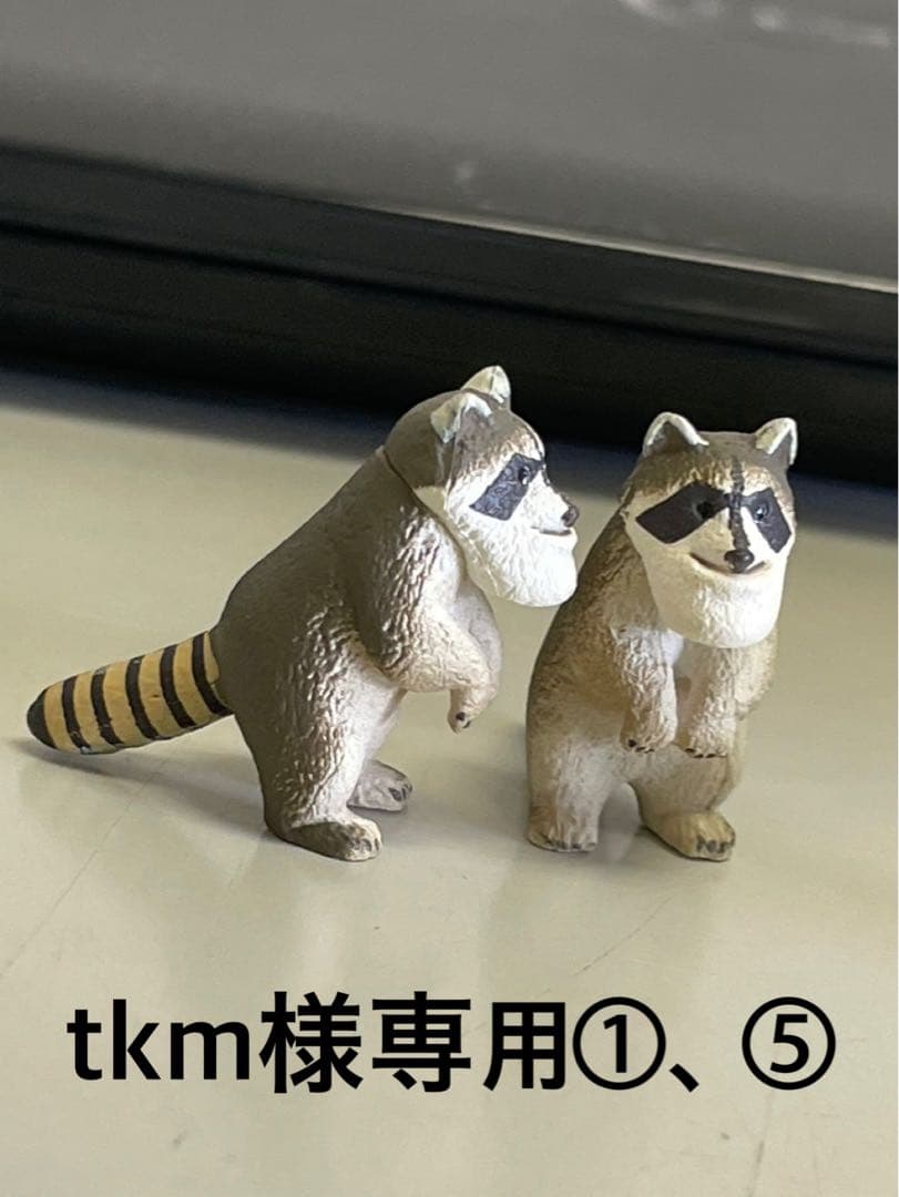 シャクレルレッサーパンダ　①、⑤