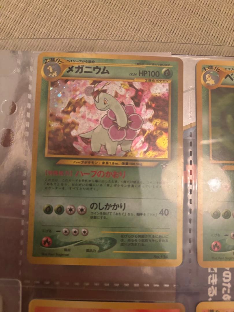 ポケモンカードneo ファイル 金銀