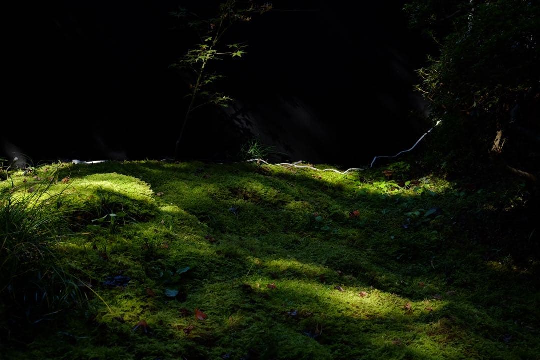 美品　Fujifilm X-E2 ボディ