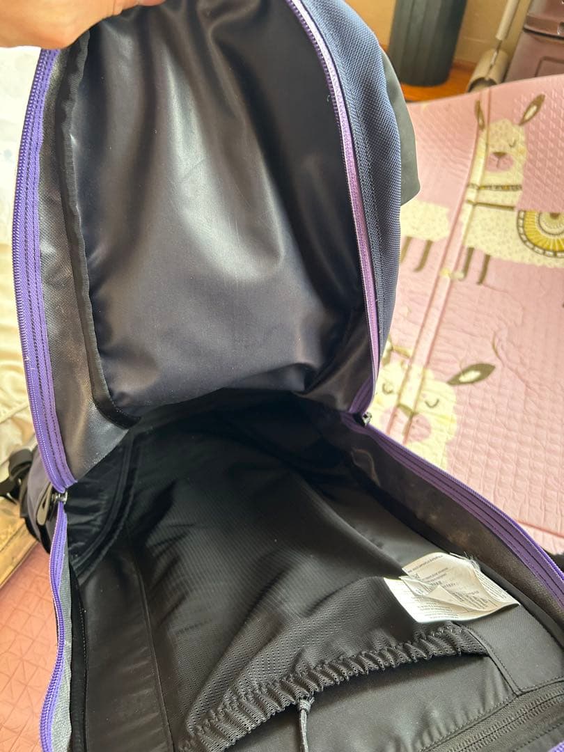 M*r様 廃品　超希少　ARC'TERYX Arro 22 BEAMS別注カラー