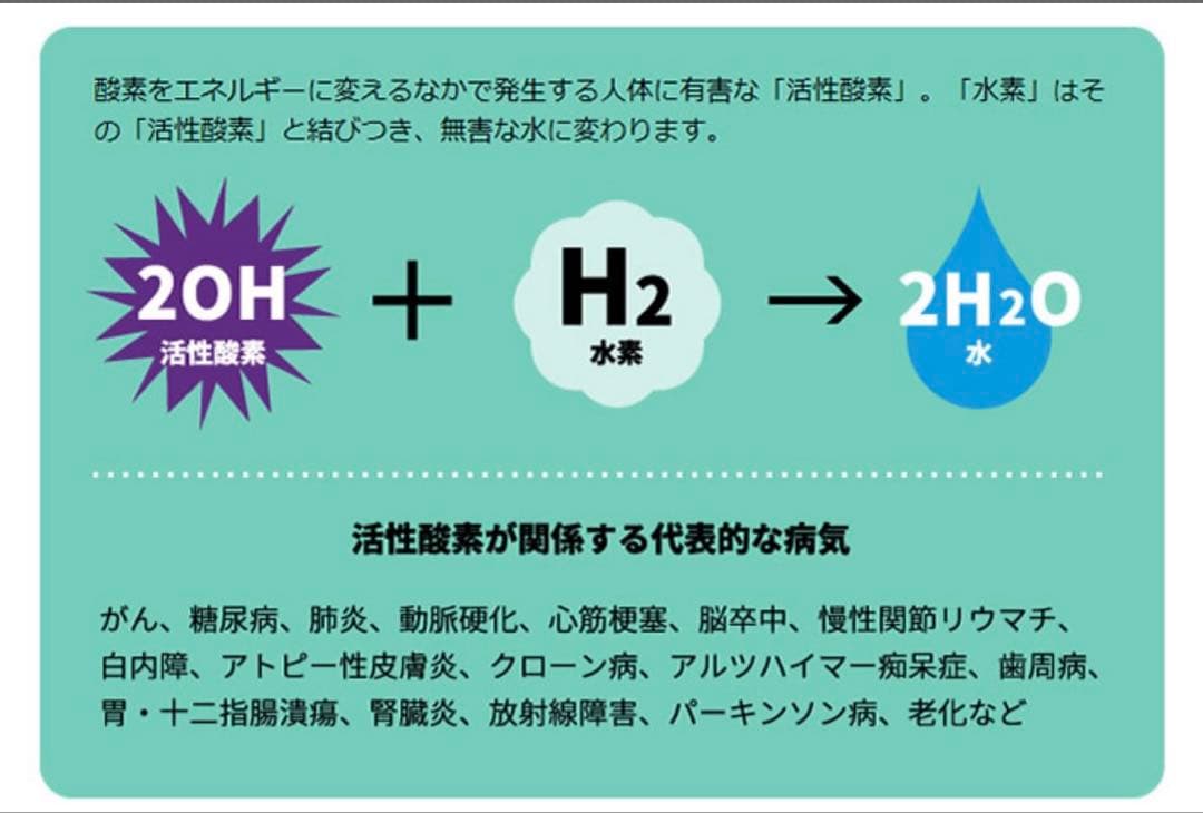 Lita-Life WRK-LL-002 ボディケア美容機器