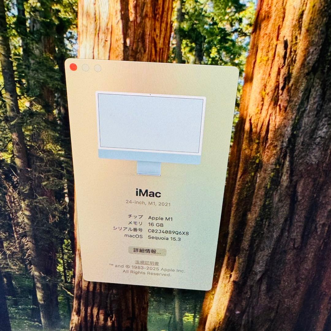 Apple iMac 24インチ M1 2021 M1 16GB 256GB