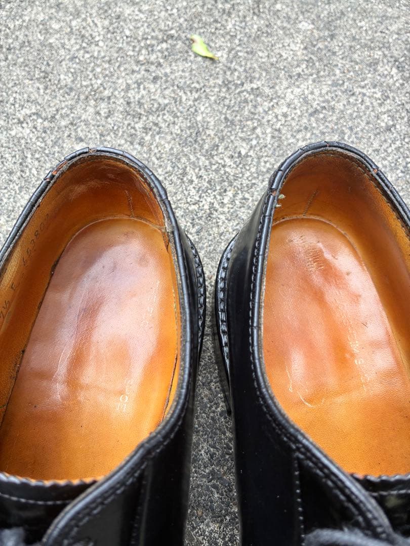 フローシャイム　ブラックコードバン 92621