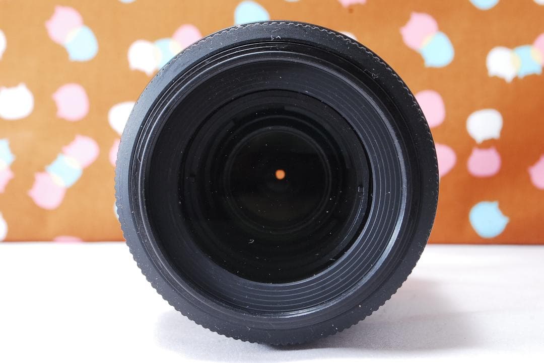 ✨元箱付き✨望遠レンズ✨Nikon D3200 レンズセット