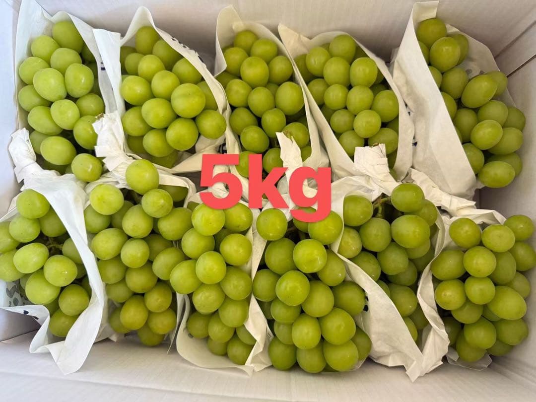 山梨県シャインマスカット5kgクール便