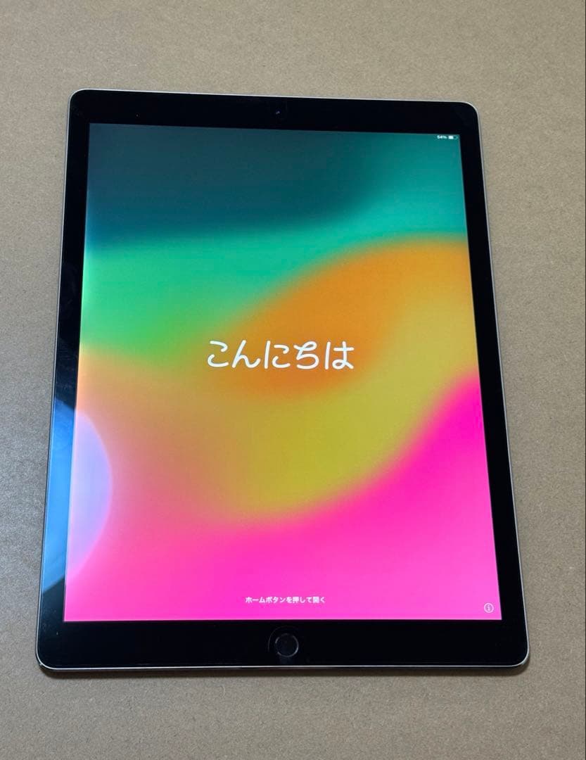 iPadPro 12.9インチ 64GB 第2世代 本体のみ