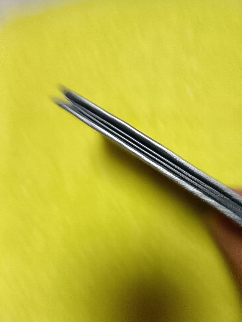 HIROKO HAYASHI ヒロコハヤシ　　ジラソーレ　名刺入れ　美品