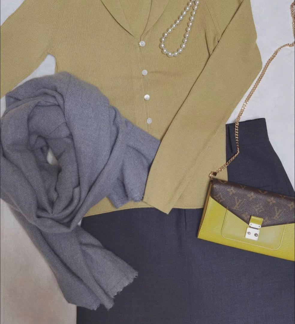 希少　Louis Vuitton モノグラム　エピ長財布