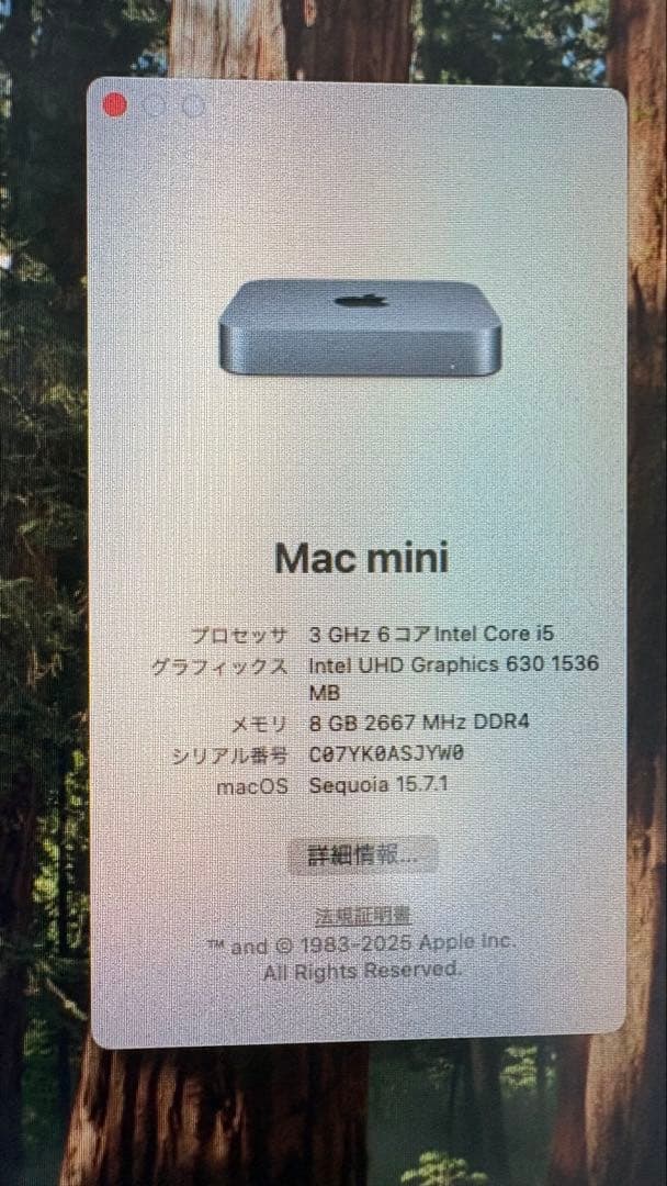 Mac mini 2018 Core i5 SSD512GB 8GBメモリ