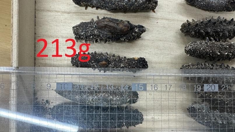 北海道産　乾燥ナマコ　お買い得です！