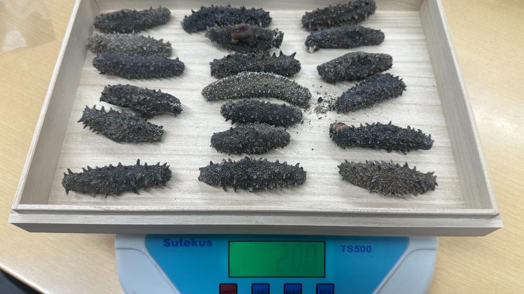 北海道産　乾燥ナマコ　お買い得です！