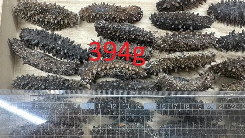 北海道産　乾燥ナマコ　お買い得です！