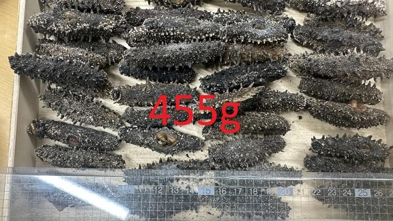 北海道産　乾燥ナマコ　お買い得です！