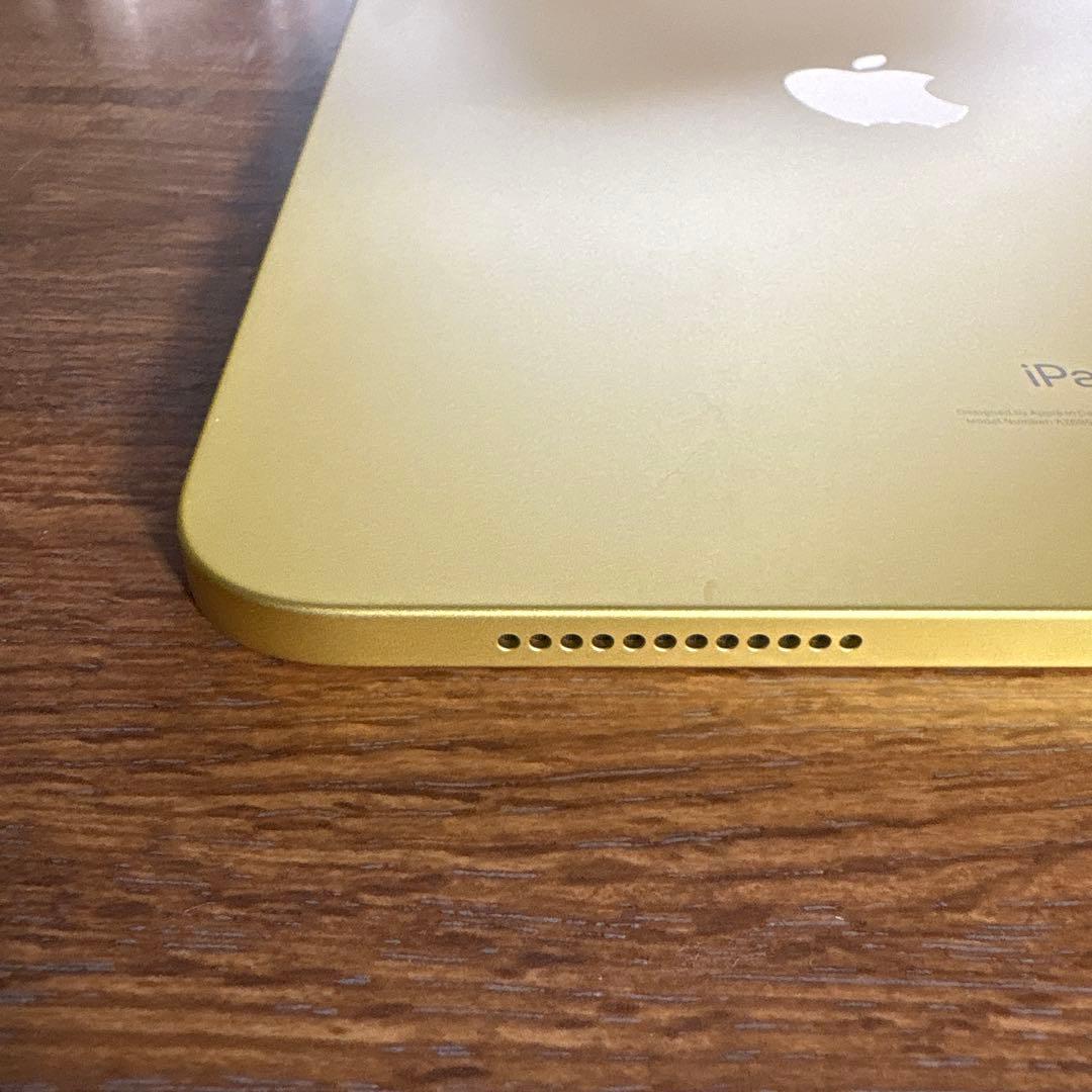 【葉っぱ】Apple iPad 第10世代 ＆ケース