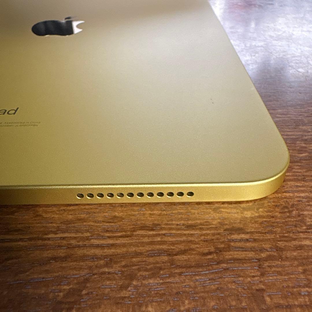 【葉っぱ】Apple iPad 第10世代 ＆ケース