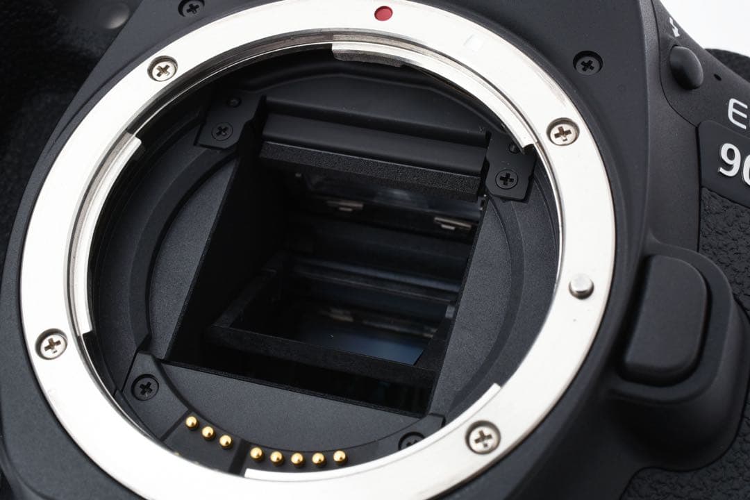 デジタル一眼レフカメラ Canon EOS 90D/標準&望遠ダブルレンズセット