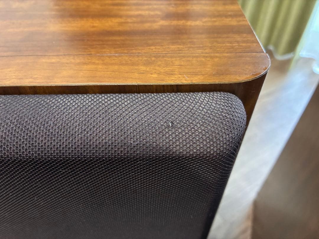 【値下げ】DIATONE DS-600Z（右側）