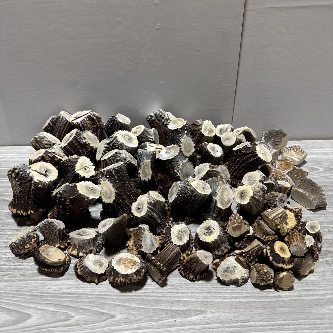 鹿の角　端材　ハンドメイド用