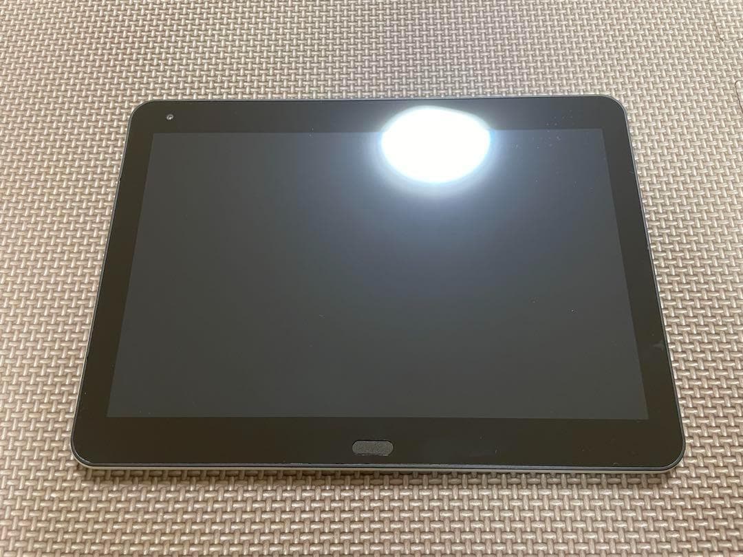 raytrektab DG-D10IWP 10.1インチ
