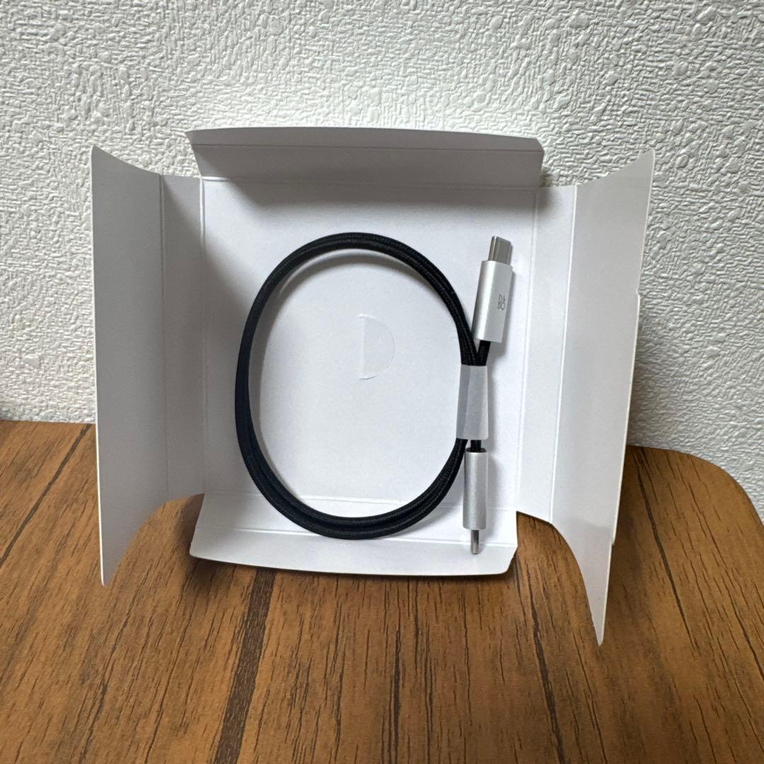 Bang & Olufsen バングアンドオルフセンBEOPLAY ELEVEN