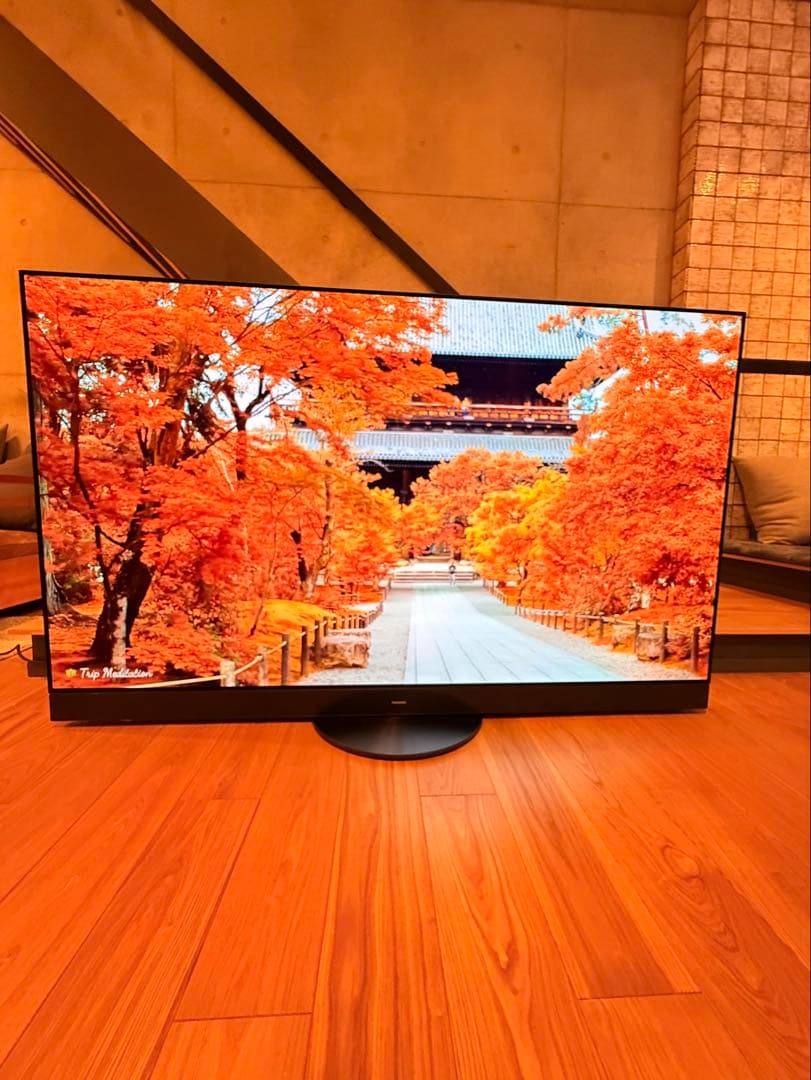 Ykryptnite様 Panasonic2023年65型TH-65MZ2500