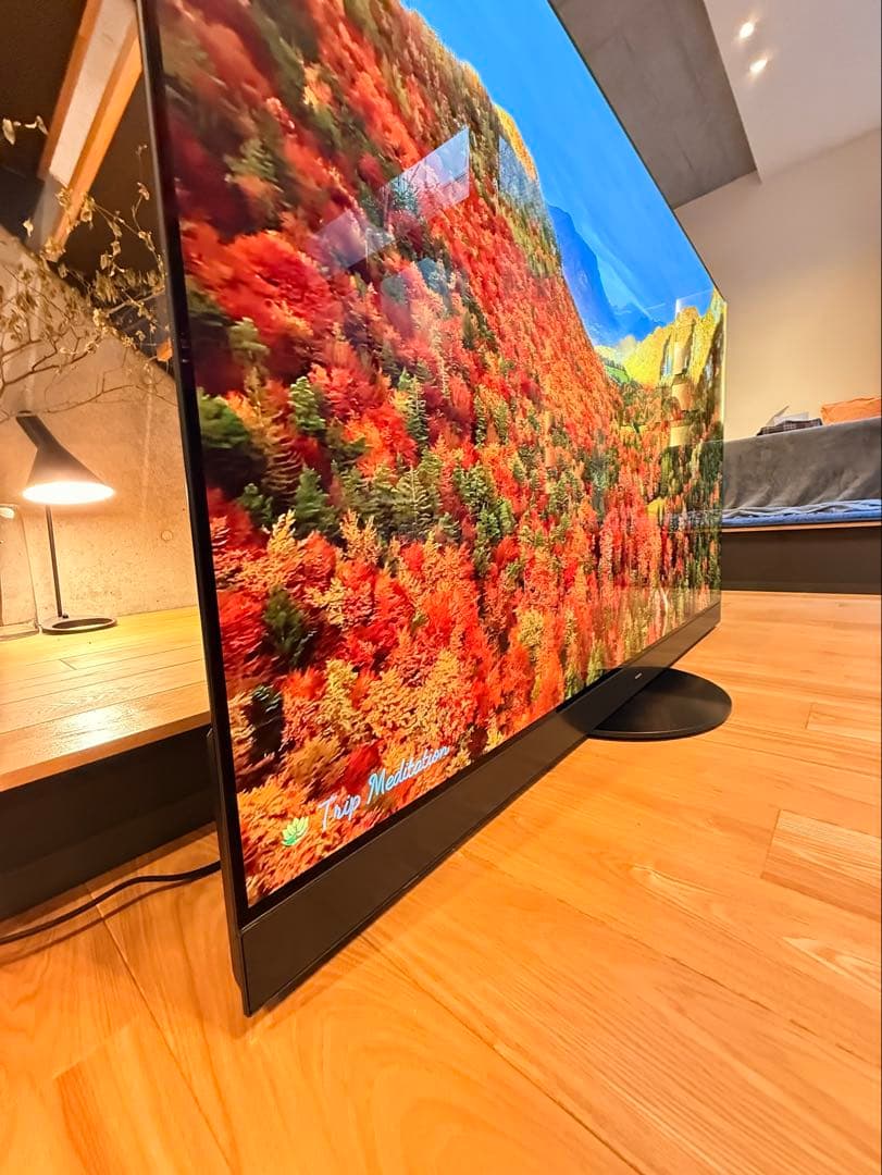 Ykryptnite様 Panasonic2023年65型TH-65MZ2500